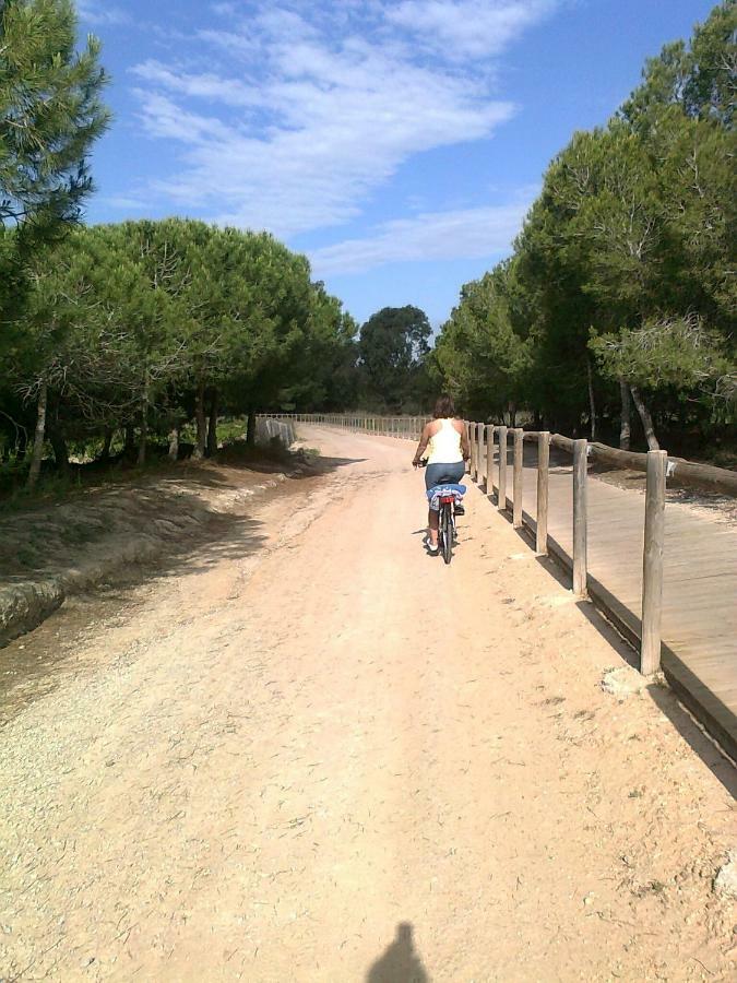 Ferienwohnung Residencial Torrealmar Con Vistas Torrevieja Exterior foto